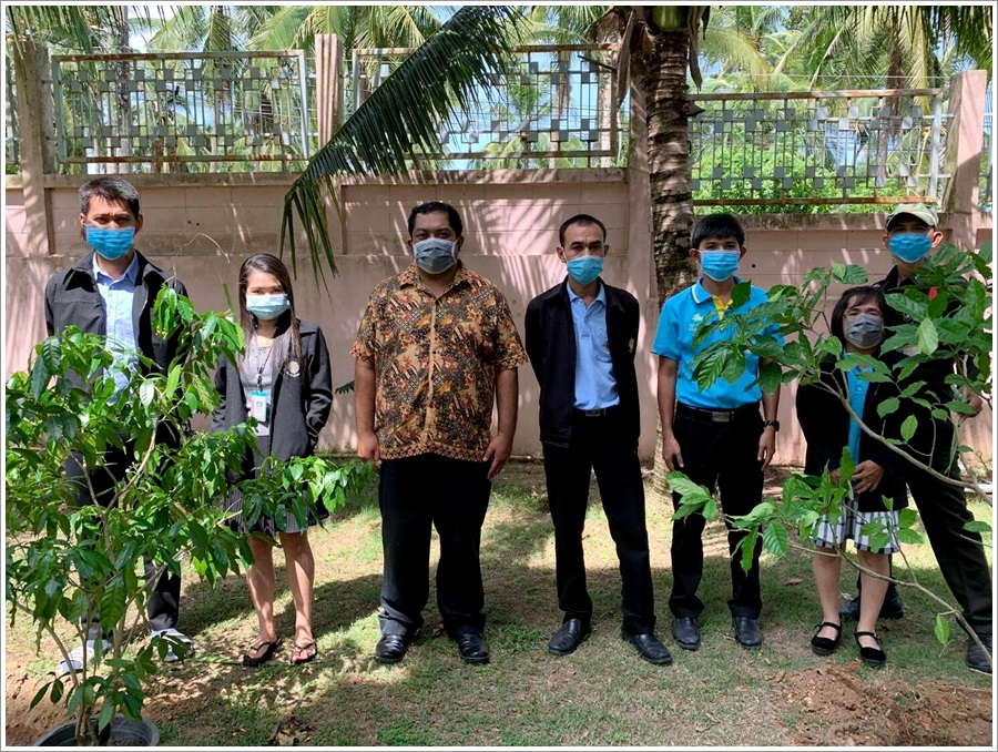 ﻿สำนักงานบังคับคดีจังหวัดสุราษฎร์ธานี สาขาเกาะสมุย จัดกิจกรรมปลูกต้นไม้ประจำปีของชาติ